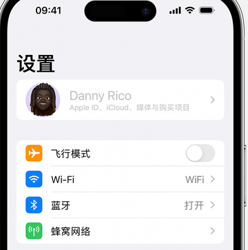 咸宁appleID维修服务iPhone设置中Apple ID显示为灰色无法使用