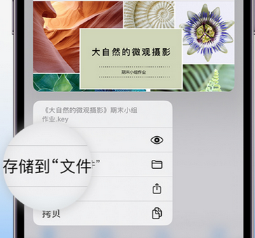 咸宁apple维修中心分享iPhone文件应用中存储和找到下载文件