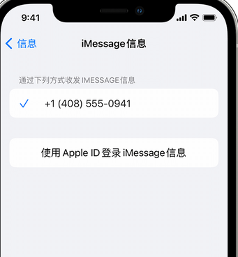 咸宁apple维修iPhone上无法正常发送iMessage信息 