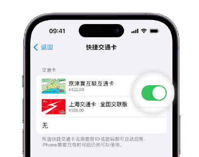 咸宁apple维修点分享iPhone上更换Apple Pay快捷交通卡手绘卡面 