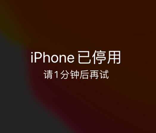 咸宁苹果手机维修分享:iPhone 显示“不可用”或“已停用”怎么办？还能保留数据吗？ 