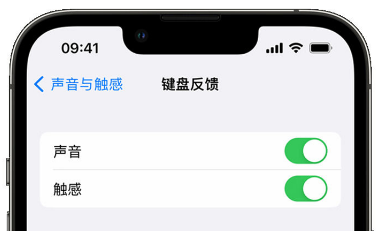 咸宁苹果手机维修分享iPhone 14触感键盘使用方法 