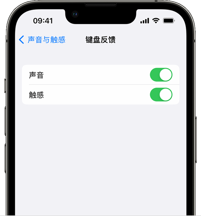 咸宁苹果14维修店分享如何在 iPhone 14 机型中使用触感键盘 