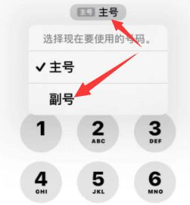 咸宁苹果14维修店分享iPhone 14 Pro Max使用副卡打电话的方法 