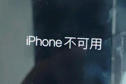 咸宁苹果服务网点分享锁屏界面显示“iPhone 不可用”如何解决 