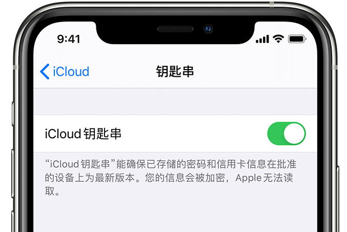 咸宁苹果手机维修分享在 iPhone 上开启 iCloud 钥匙串之后会储存哪些信息 