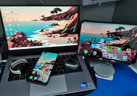 咸宁苹果手机维修分享为什么iPad屏幕更大价格却比iPhone低 