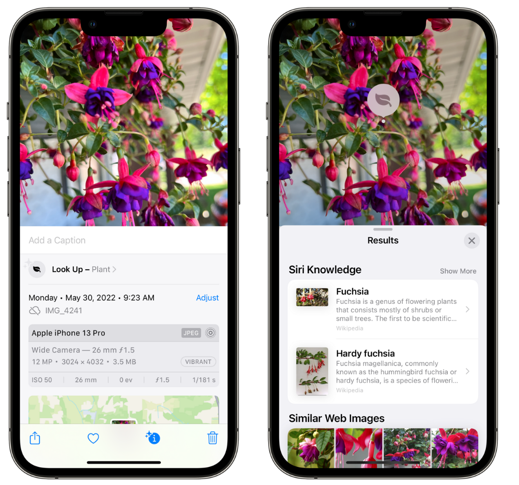 咸宁苹果手机维修分享小技巧：使用 iPhone 相机识别花卉植物 
