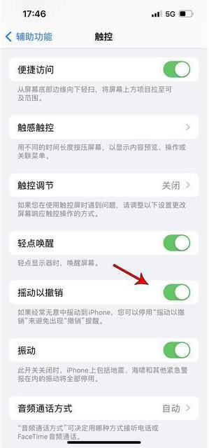 咸宁苹果手机维修分享iPhone手机如何设置摇一摇删除文字 