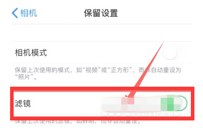 咸宁苹果13维修分享iPhone13拍照有绿点是怎么回事 