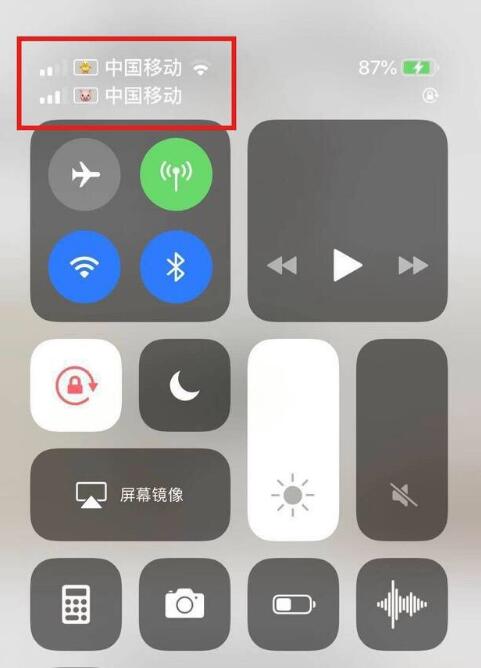 咸宁苹果手机维修分享为 iPhone 12 双卡设置标签 